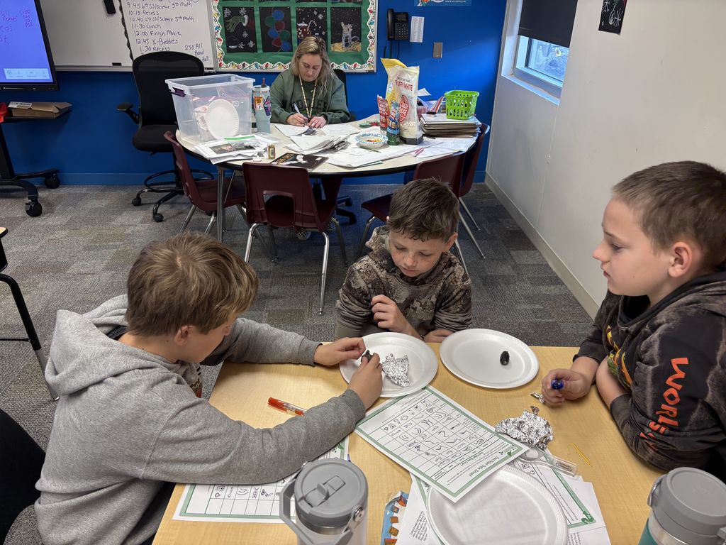 6th Grade Owl Pellet Dissection 