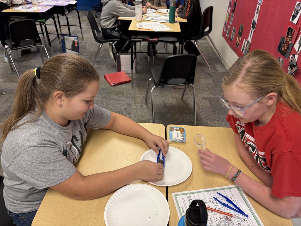 6th Grade Owl Pellet Dissection 