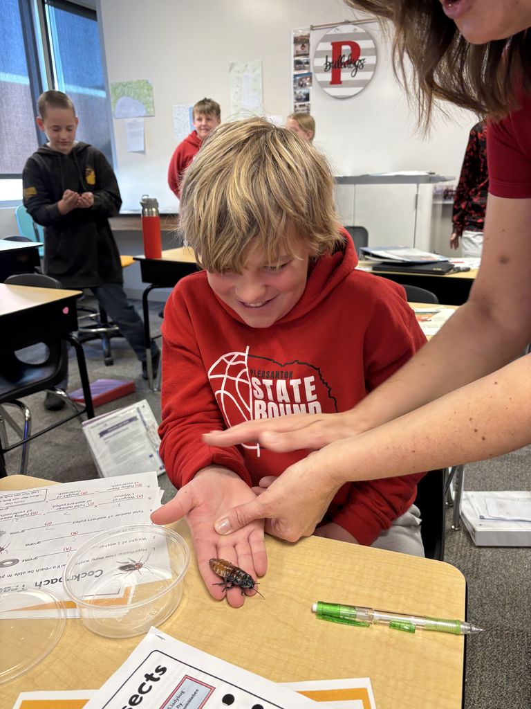 Hissing Cockroaches in 6th Grade w/ Heidi Darby from Extension Office