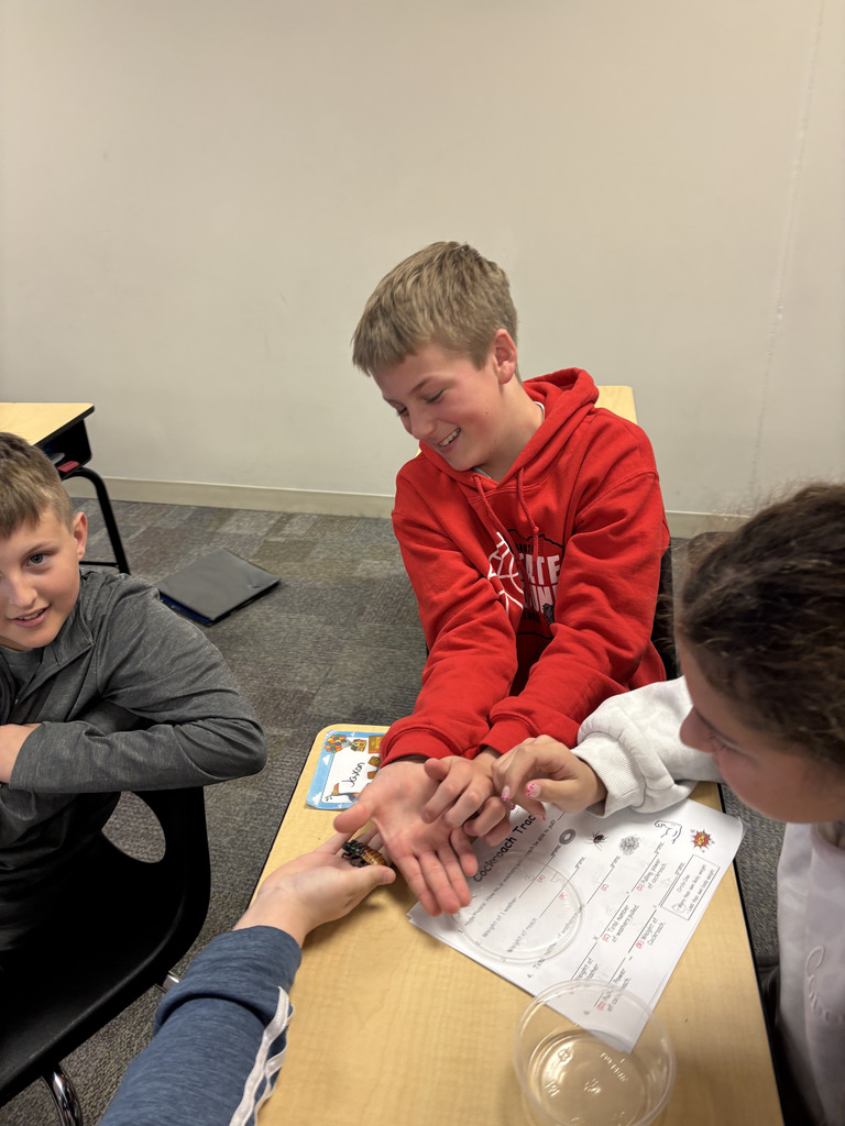 Hissing Cockroaches in 6th Grade w/ Heidi Darby from Extension Office