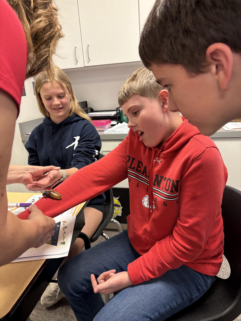 Hissing Cockroaches in 6th Grade w/ Heidi Darby from Extension Office