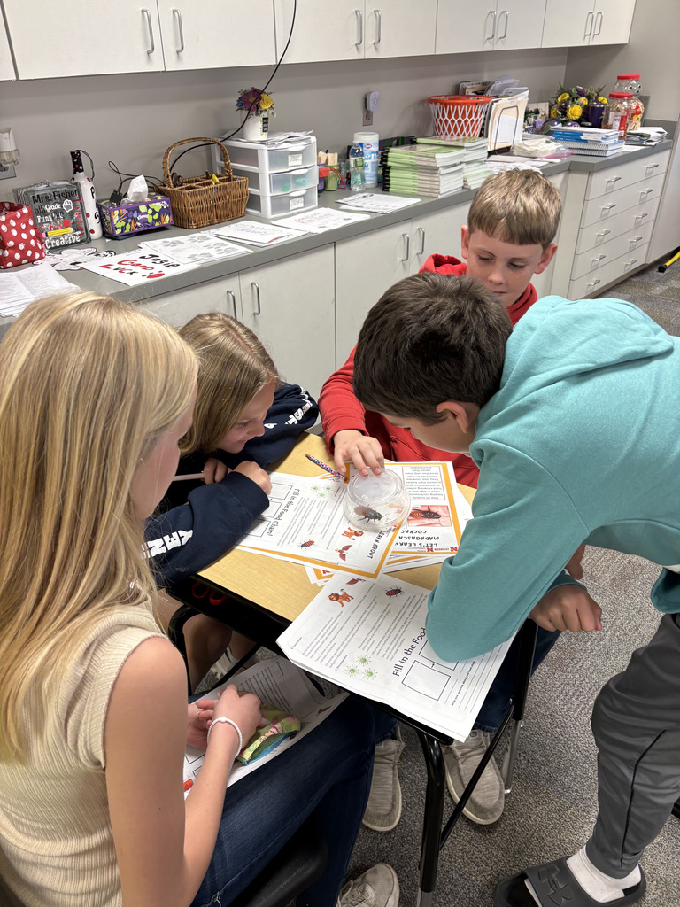 Hissing Cockroaches in 6th Grade w/ Heidi Darby from Extension Office