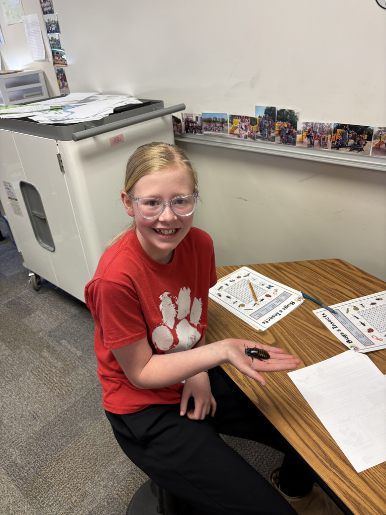 Hissing Cockroaches in 6th Grade w/ Heidi Darby from Extension Office