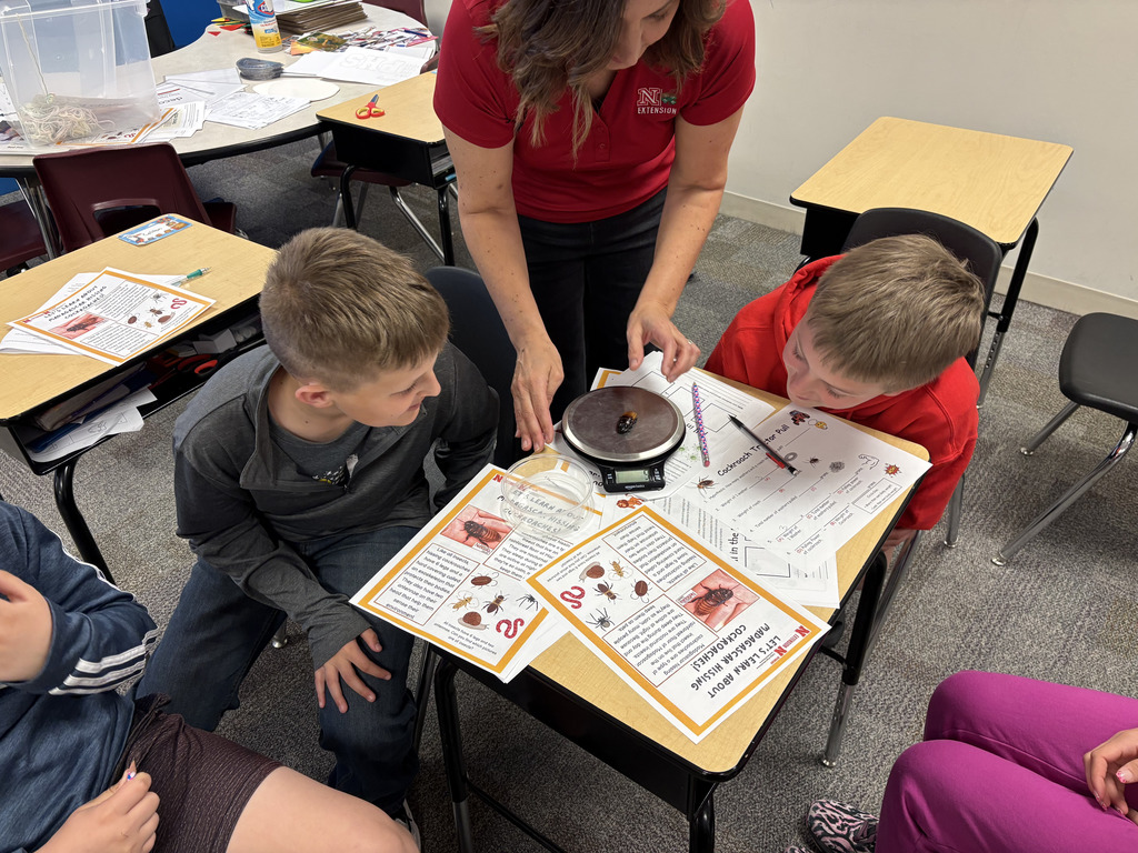 Hissing Cockroaches in 6th Grade w/ Heidi Darby from Extension Office