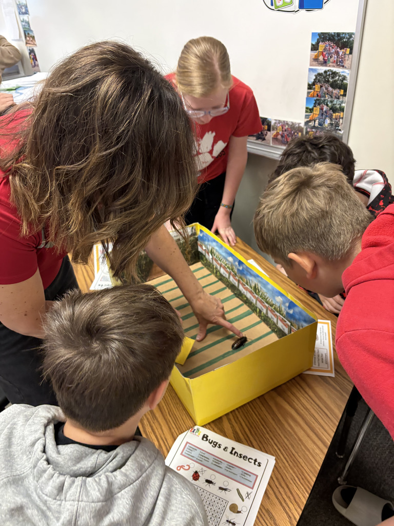 Hissing Cockroaches in 6th Grade w/ Heidi Darby from Extension Office