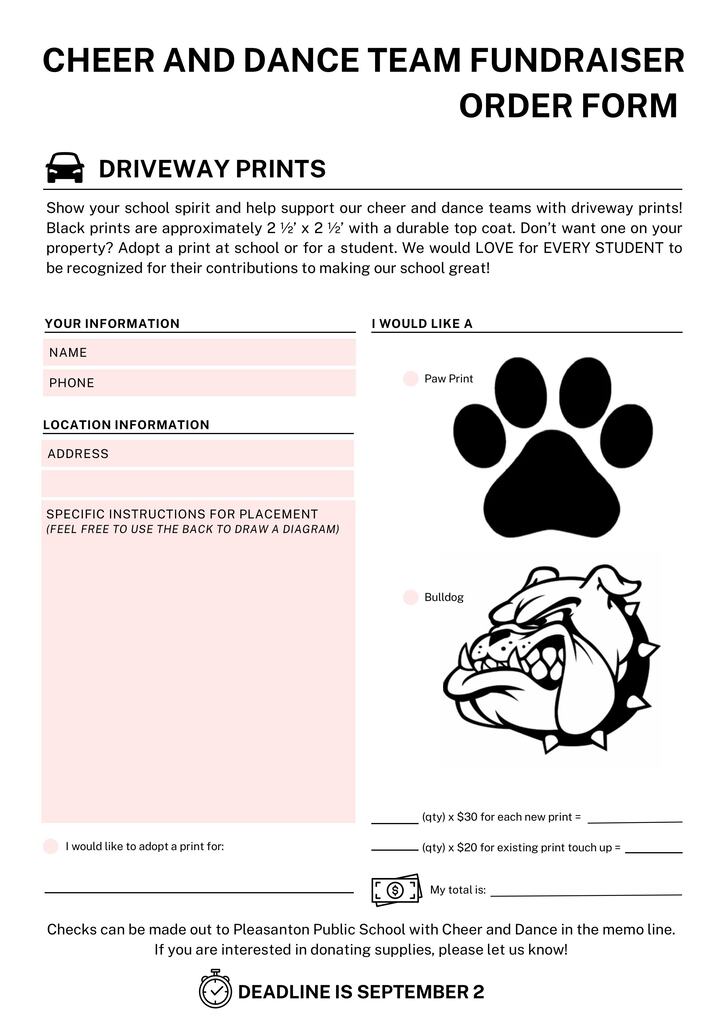 Cheer & Dance Fundraiser - Spray Paint Mascot 