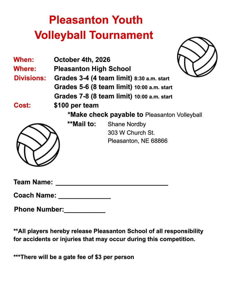 Pleasanton Youth VB Tournament