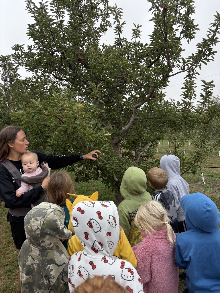1st Grade Apple Acres Orchard Field Trip