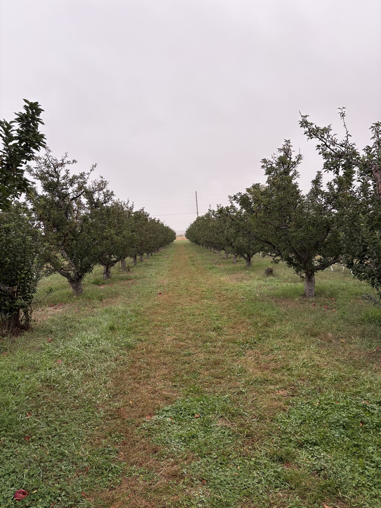 1st Grade Apple Acres Orchard Field Trip