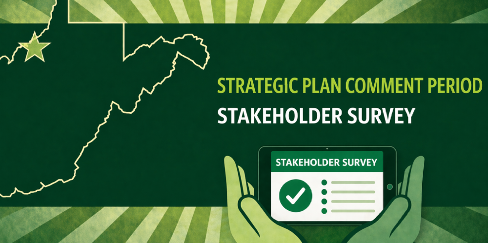 Strategic Plan Comment Period Stakeholder Survey