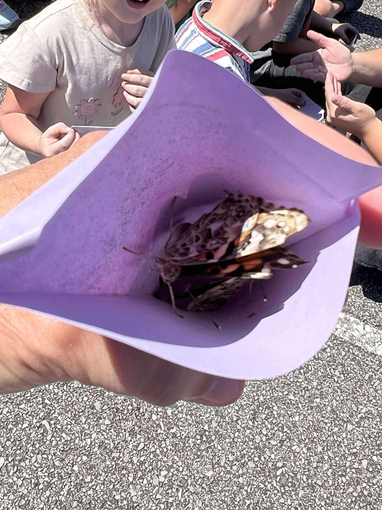 butterfly release at Belmont Elementary School
