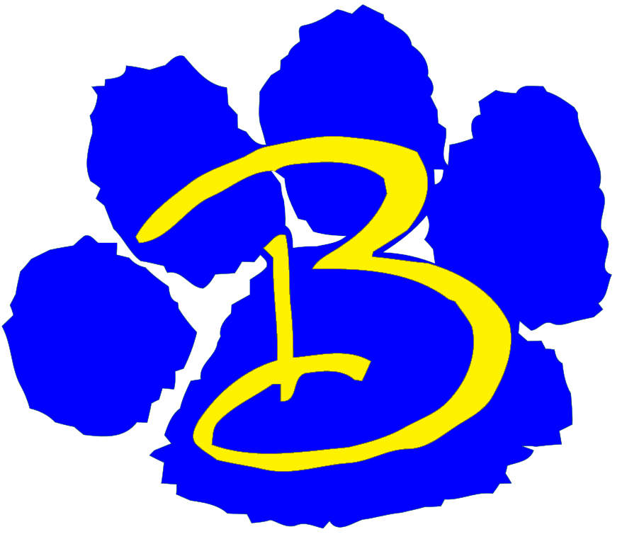BES Logo