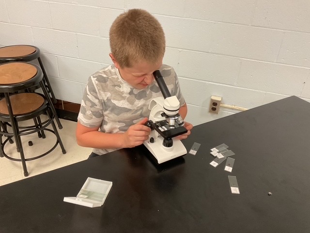 lab