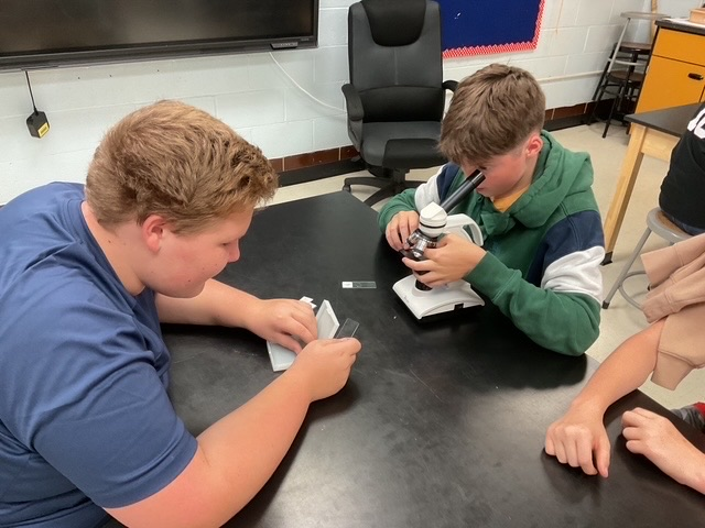 lab