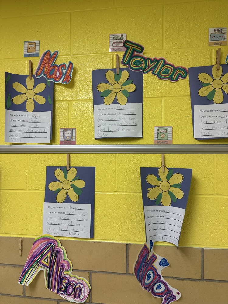 2nd grade book report