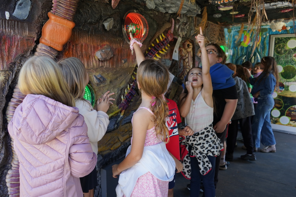 Soil Tunnel Trailer Fascination