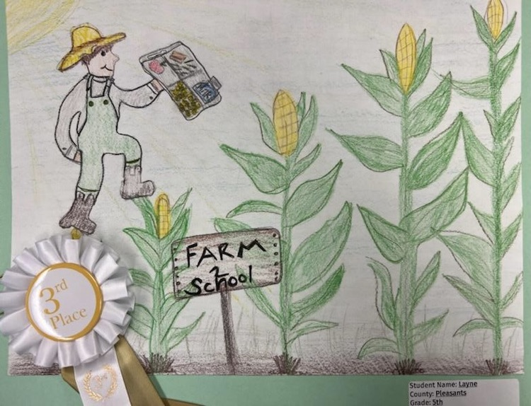 Let’s Grow Together - 3rd place winner