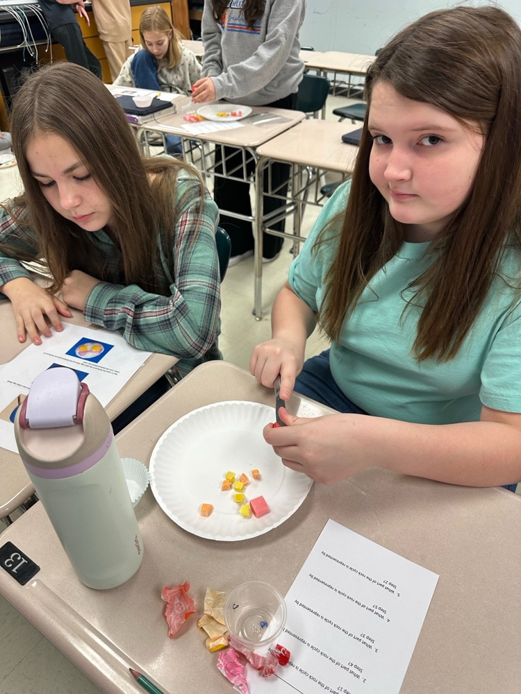 7th grade science lab