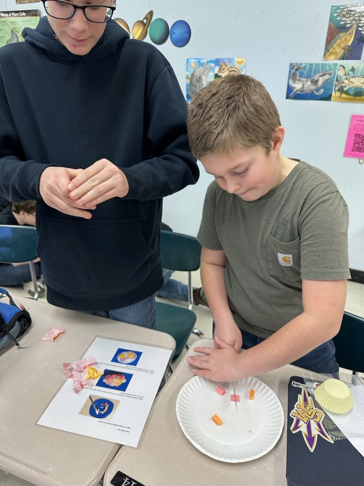 7th grade science lab