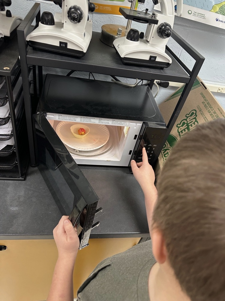 7th grade science lab