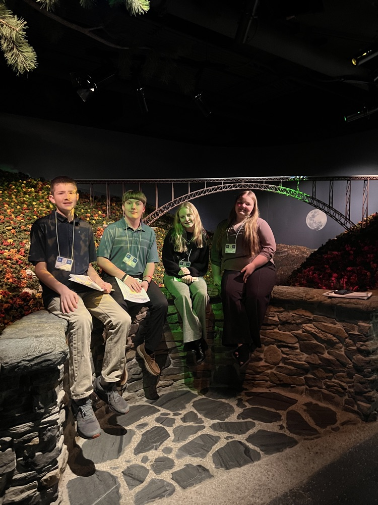 youth and government