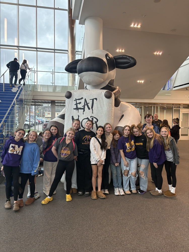 SMHS State Tournament pictures, game day