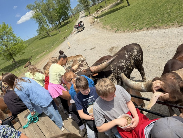 PCMS sixth grade students visiting a farm at Walnut Creek, interacting with animals.