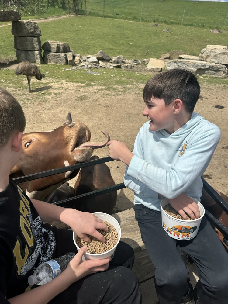 PCMS sixth grade students visiting a farm at Walnut Creek, interacting with animals.
