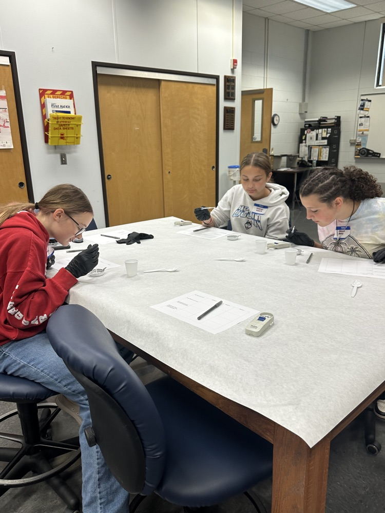 WVU-P 8th grade visit- exploring the college