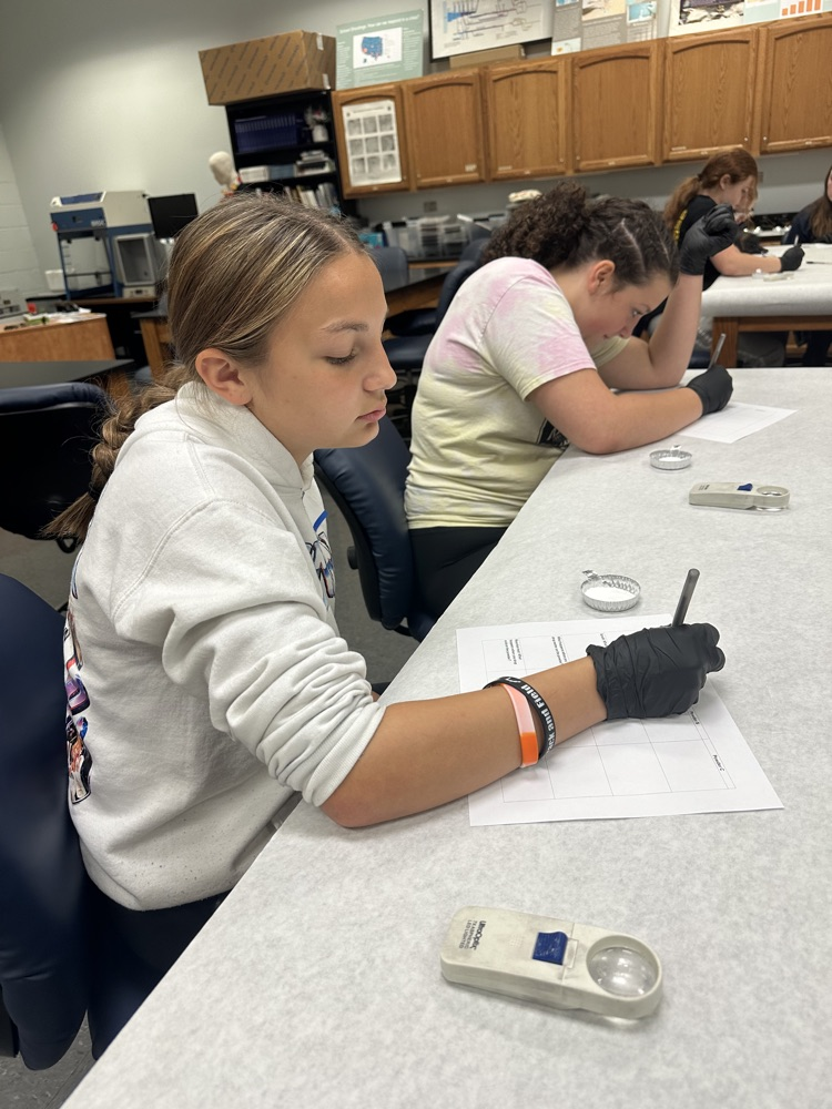 WVU-P 8th grade visit- exploring the college