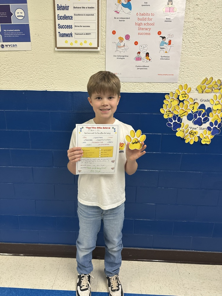 BES pawsitive office referrals.