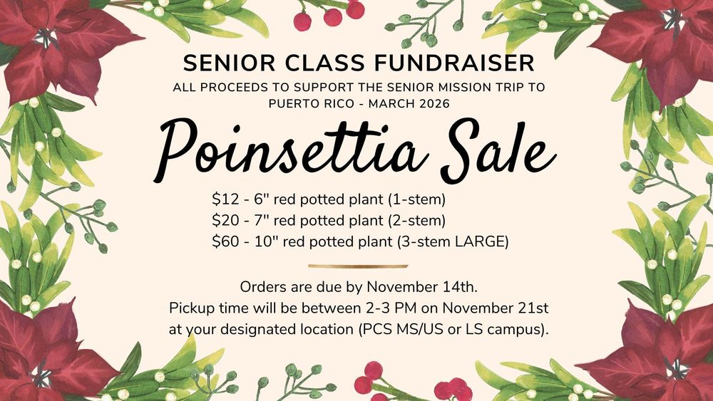 poinsettia
