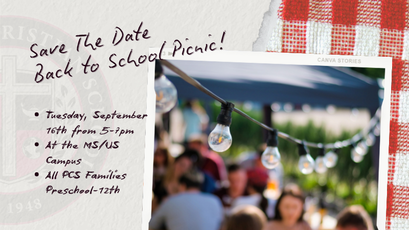 All School Picnic