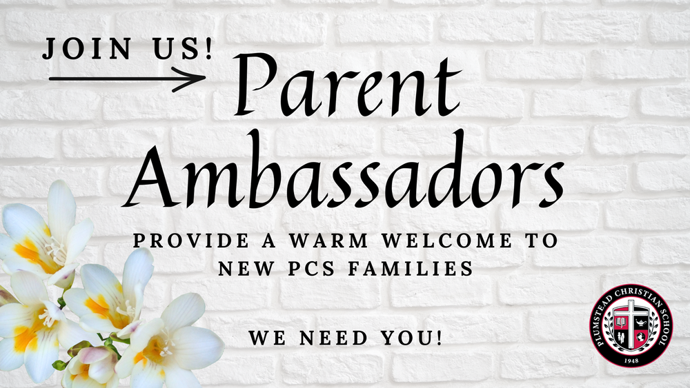 ambassador