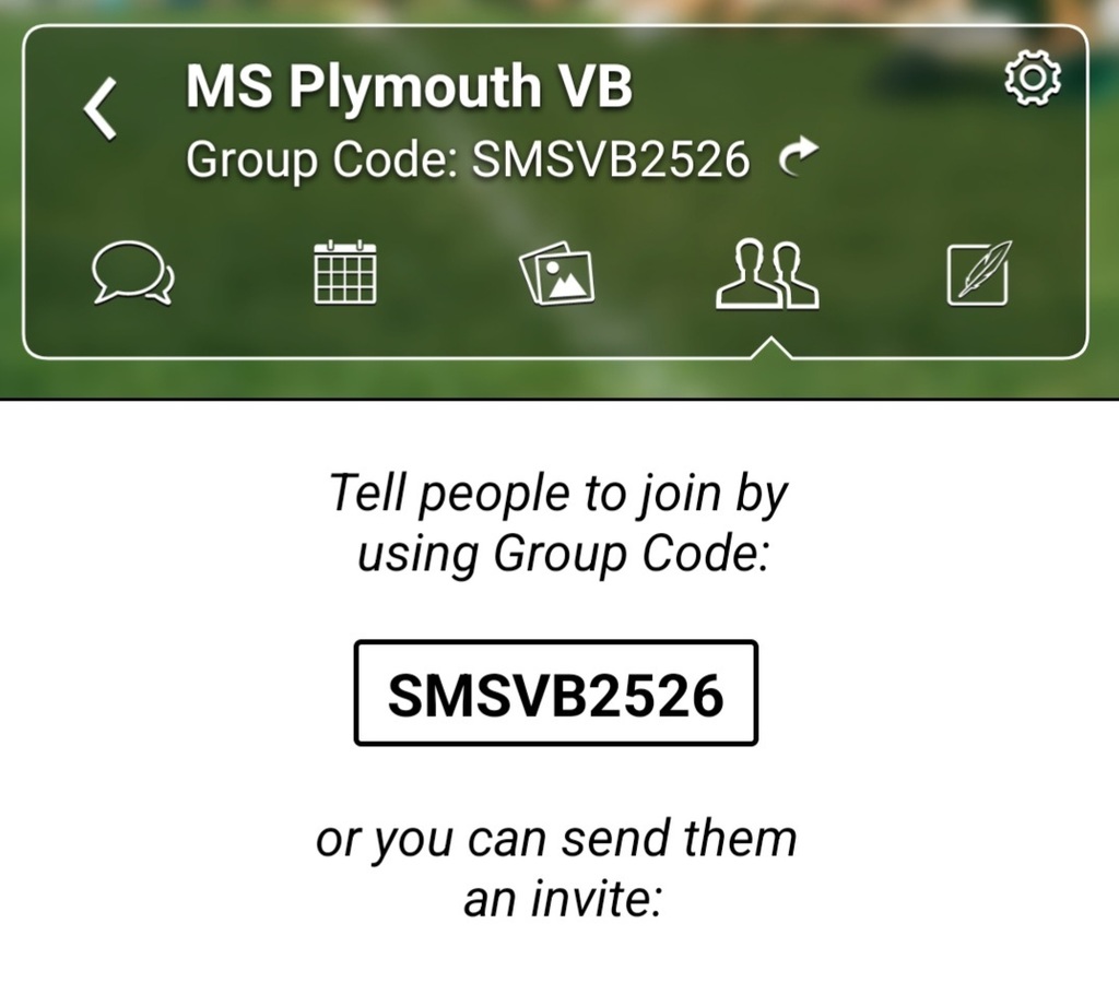 volleyball group code