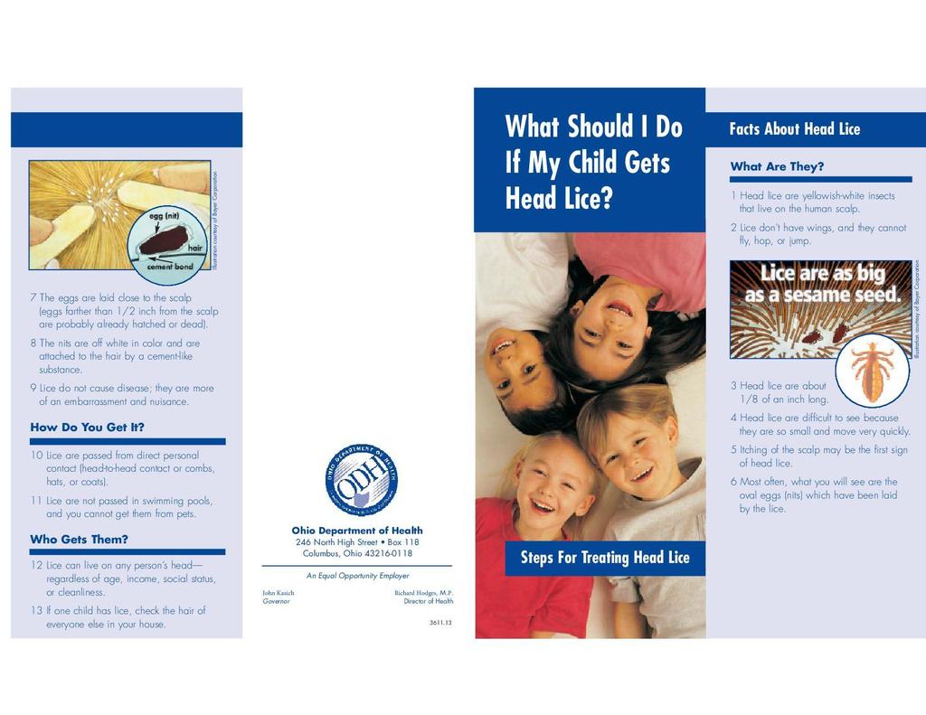 What_Should_I_Do_If_My_Child_Gets_Head_Lice_Brochure 1