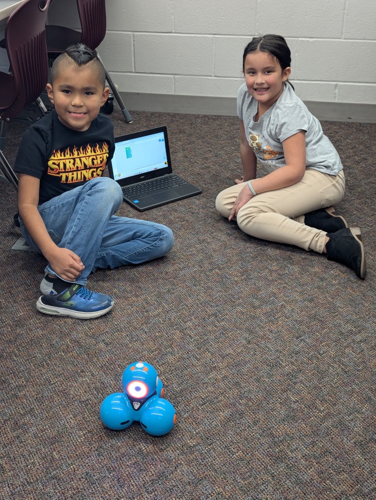 Terry class STEM project