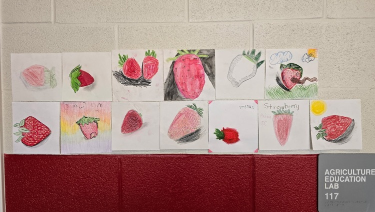 strawberry art
