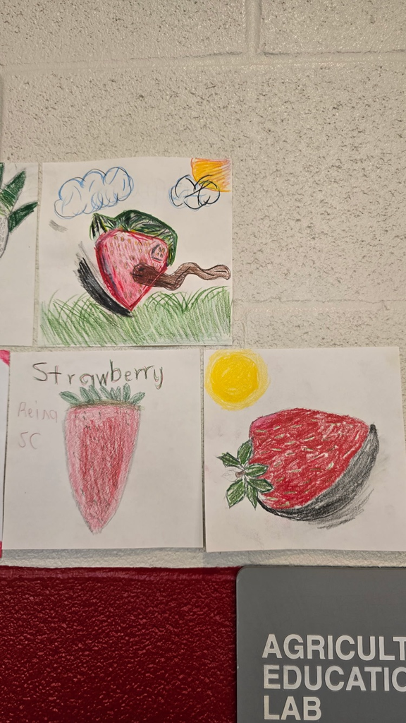 strawberry art