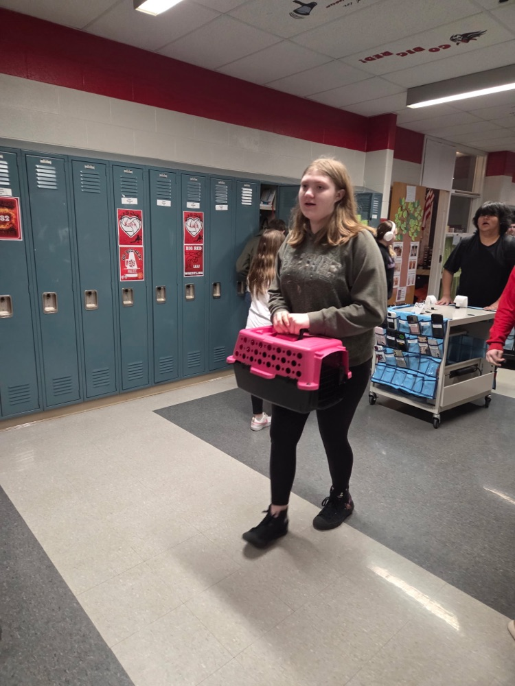 students in the halls