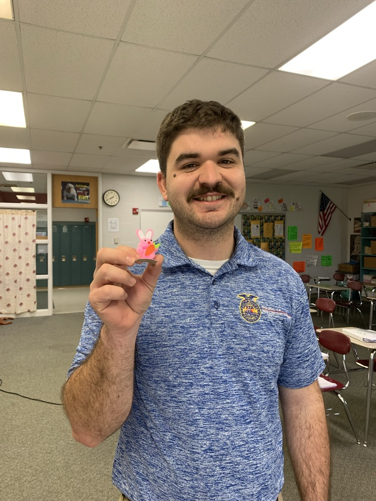 students with rabbits