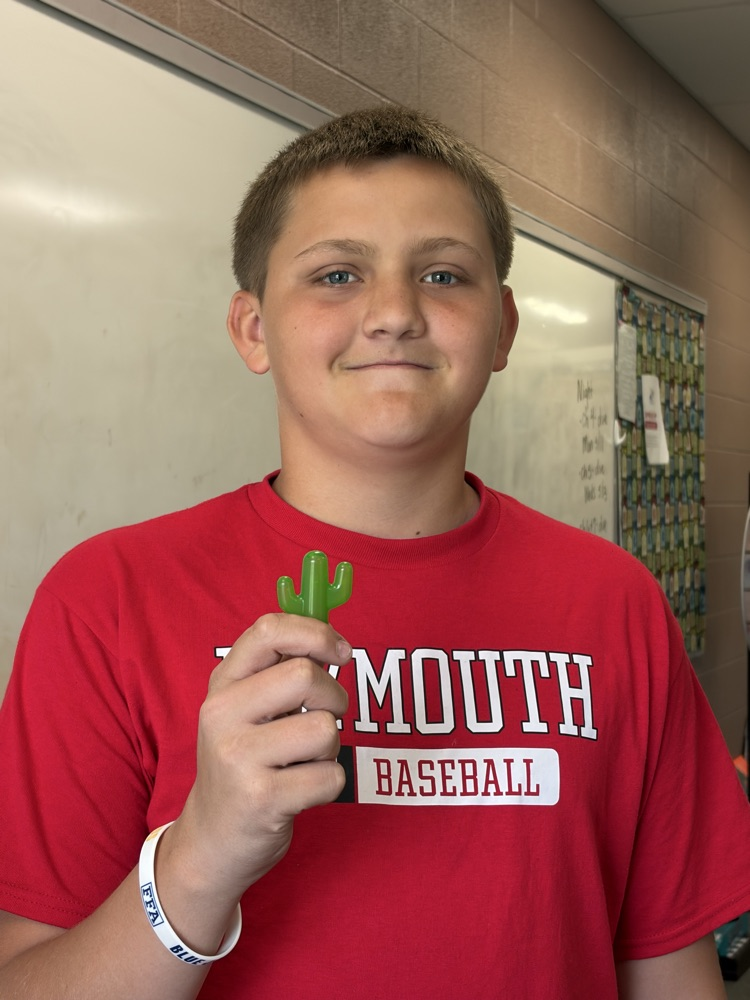 cacti