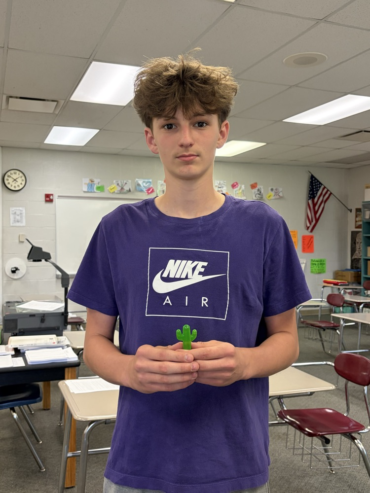 cacti