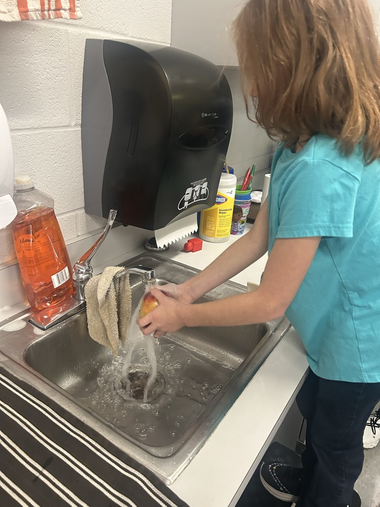 students making applesauce 