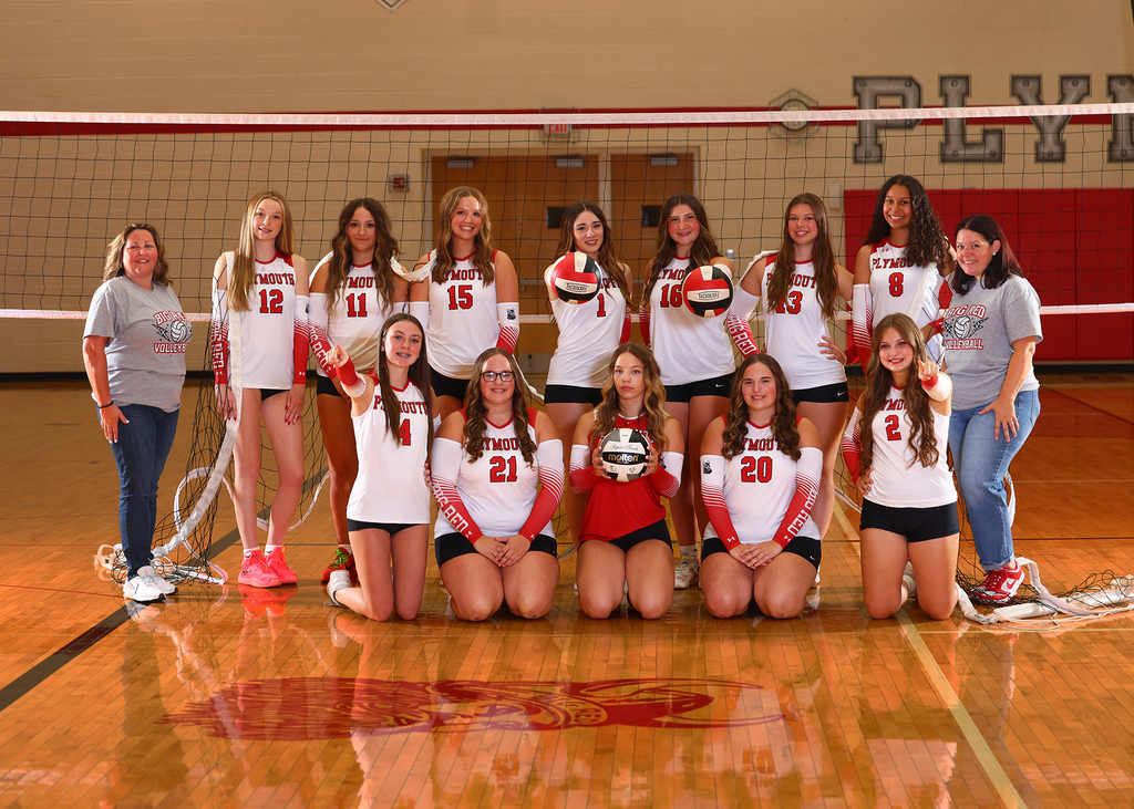 volleyball 
