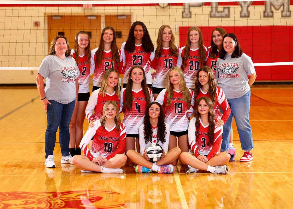 volleyball 