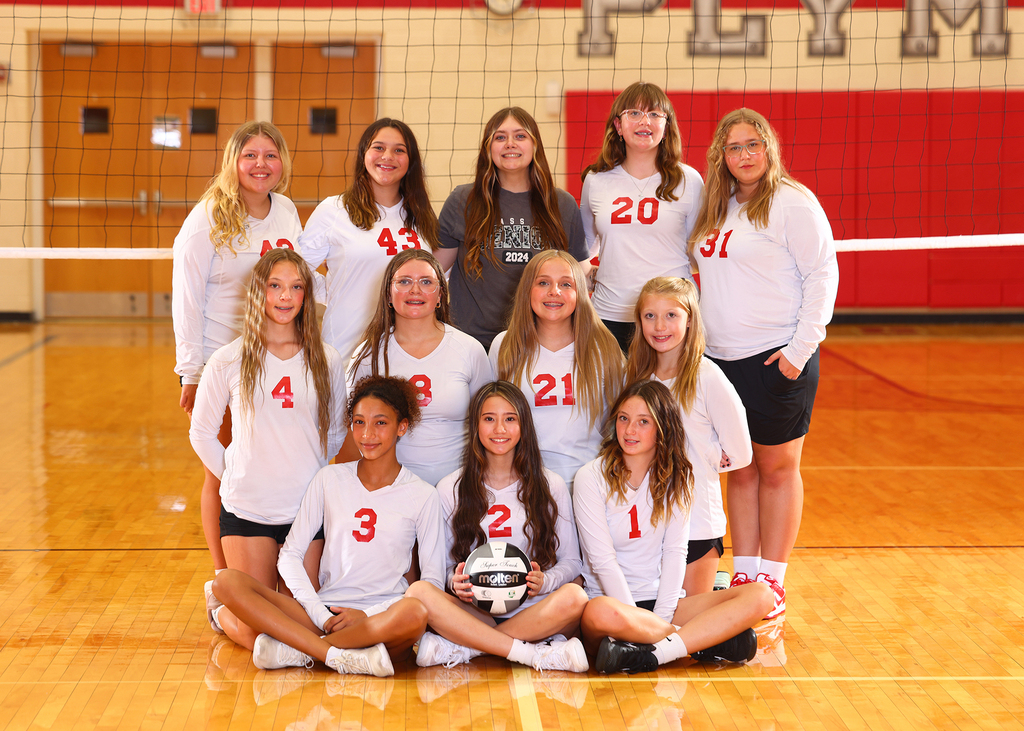 volleyball team