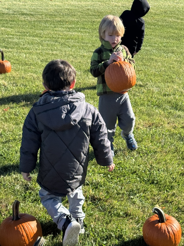 pumpkin patch with pre k