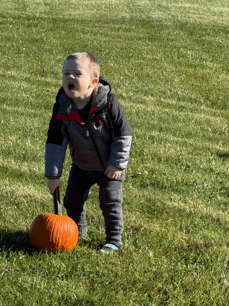 pumpkin patch with pre k
