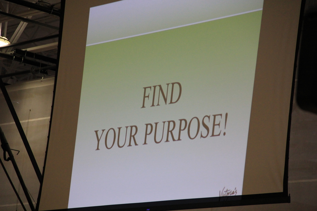 Steered Straight Event at Lincoln and Riverside